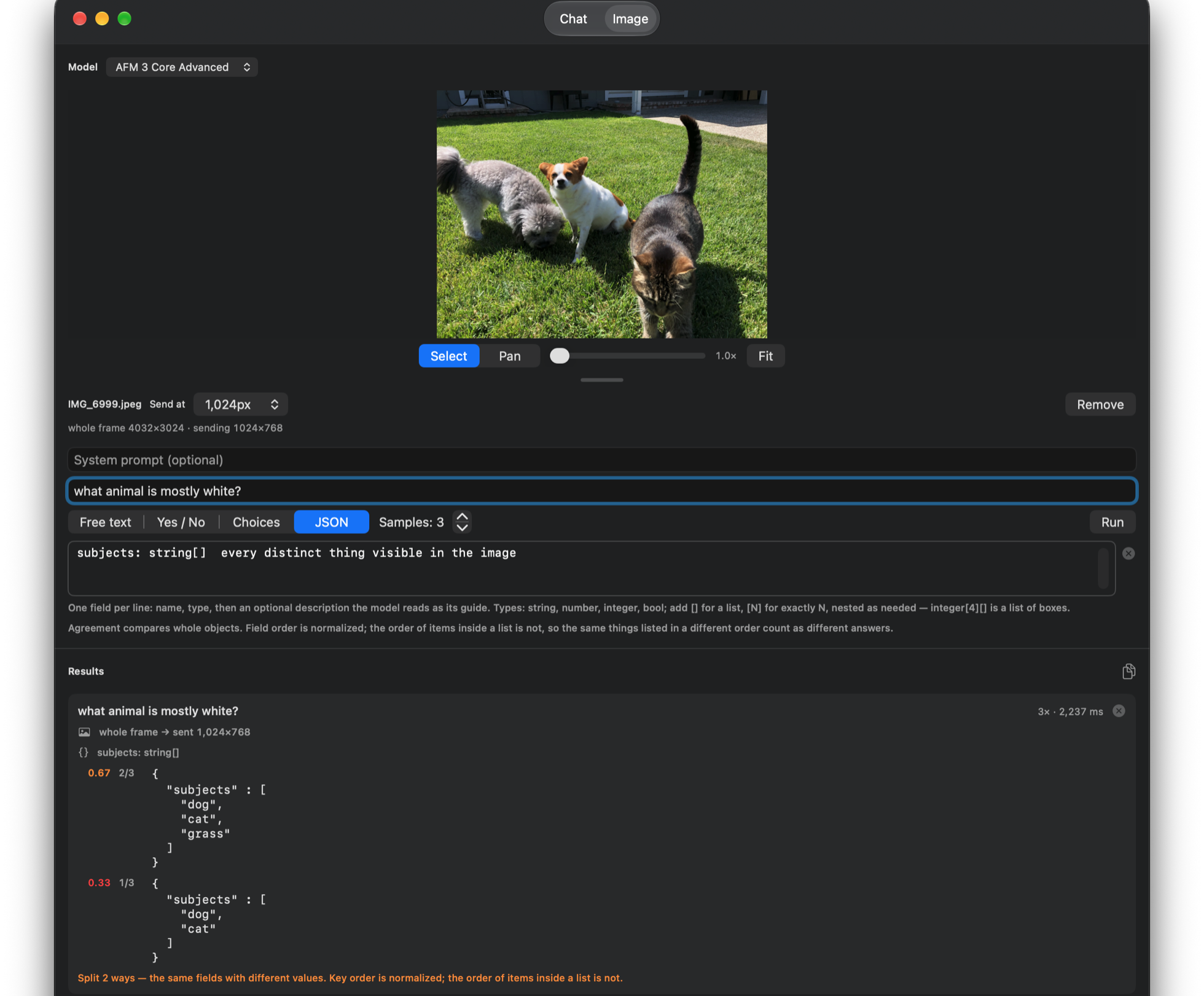 Apple Foundation Models Workbench screenshot